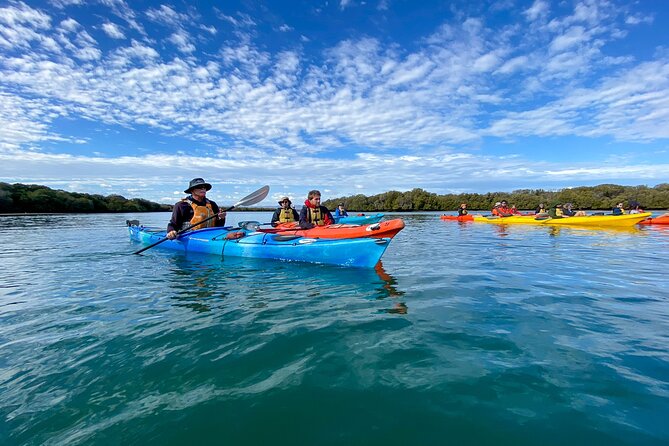 Full Day Kayaking Tour in Coorong National Park - Crossing the Young Husband Peninsula dunes