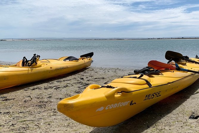 Full Day Kayaking Tour in Coorong National Park - Reaching the Murray Mouth lookout