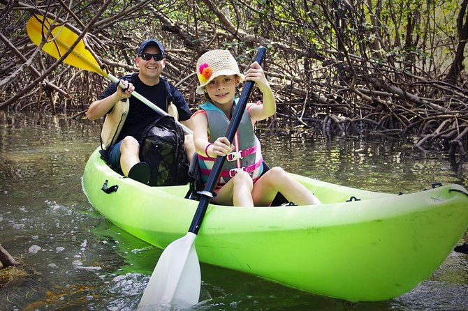 Fully Guided Kayaking Backwater Manatee and Dolphin Tour - Paddling through Cocoa Beach’s Thousand Islands
