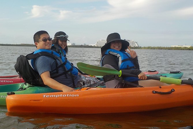 Fully Guided Kayaking Backwater Manatee and Dolphin Tour - Manatees and dolphins are possible, not promised
