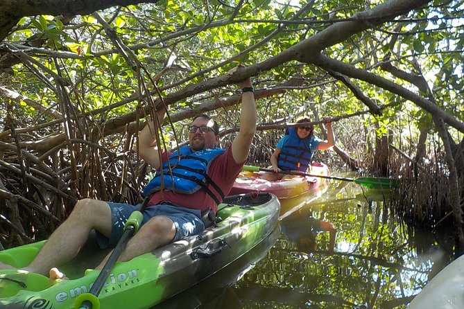 Fully Guided Kayaking Backwater Manatee and Dolphin Tour - Is the $75 price fair?