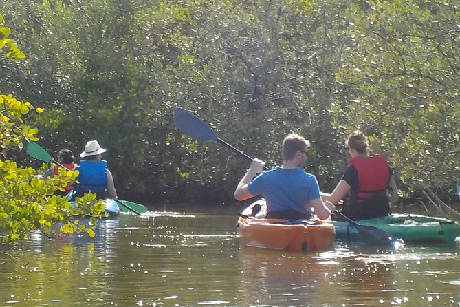 Fully Guided Kayaking Backwater Manatee and Dolphin Tour - Timing, weather, and practical planning
