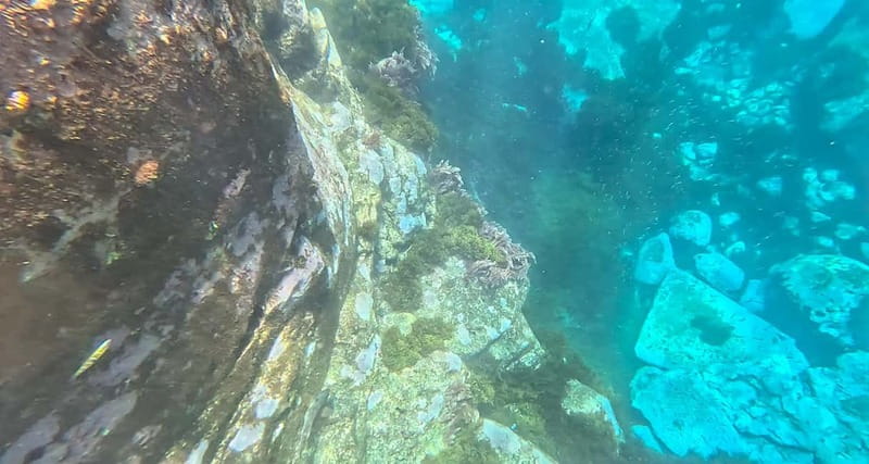 Funchal: Kayak and Snorkel Tour to Garajau NR - Praia do Lazareto and the Garajau Natural Reserve