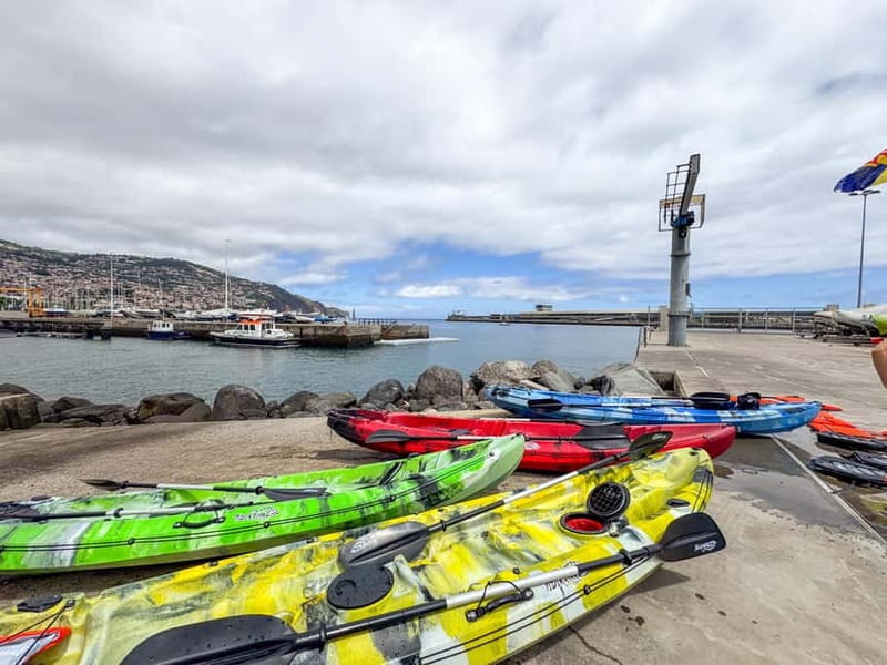 Funchal: Kayak and Snorkel Tour to Garajau NR - Should you book the Garajau kayak and snorkel tour?