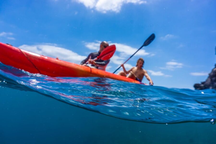 Funchal: KAYAK Rental or Guided tour with snorkeling - Reaching the kayaks requires a short swim