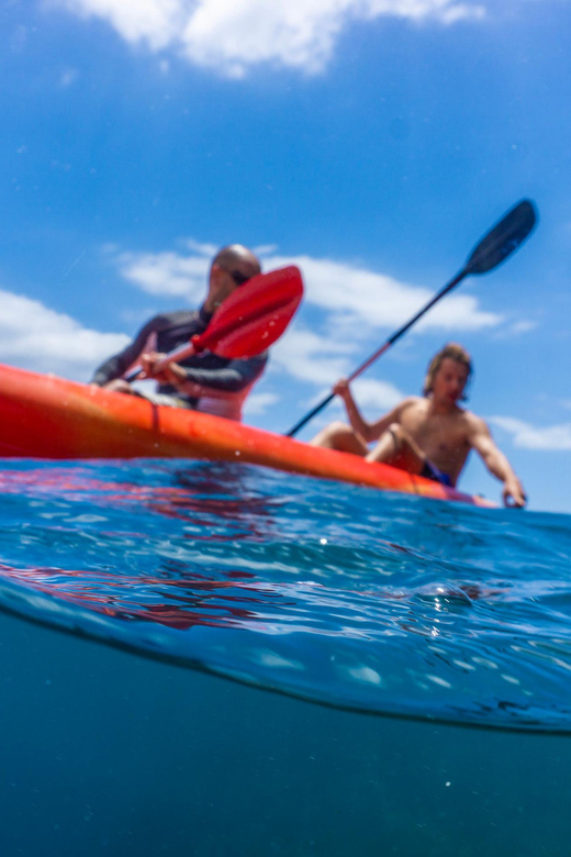Funchal: KAYAK Rental or Guided tour with snorkeling - Who will enjoy this most