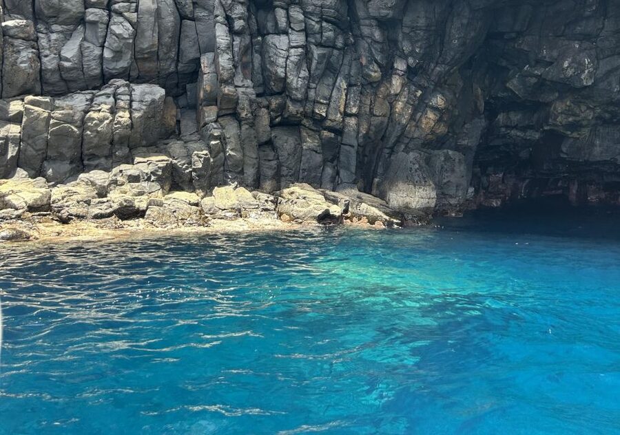 Funchal: Private Boat Tour w/Snorkel & Paddle up 11 people - Who will enjoy this most?