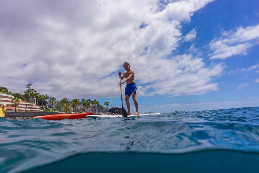 Funchal: SUP Rental or Guided tour with snorkeling - Swimming out to the boards