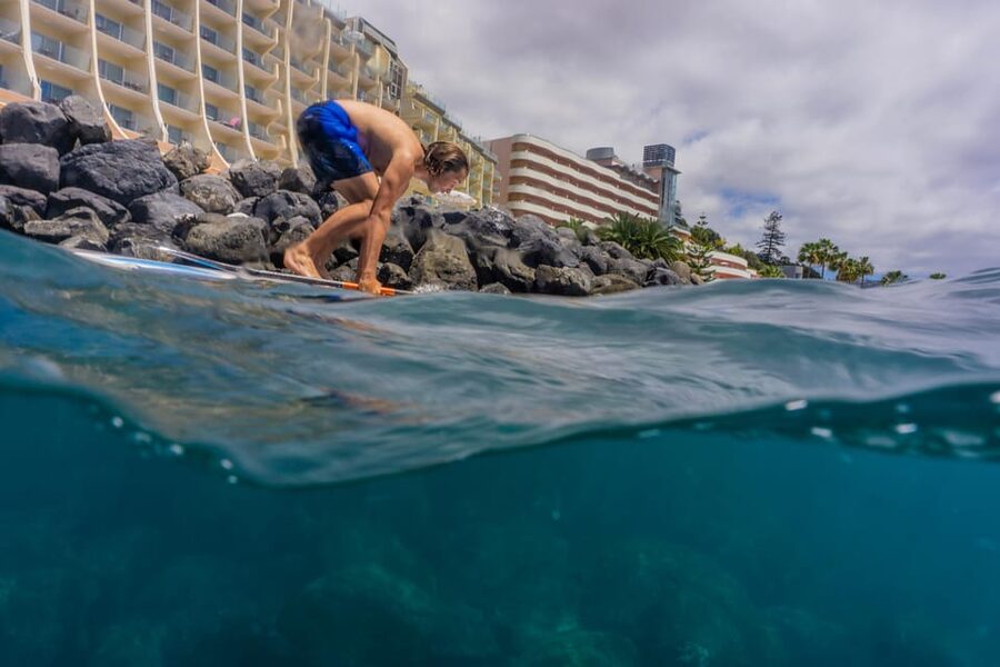 Funchal: SUP Rental or Guided tour with snorkeling - Paddling along Funchal’s clear Atlantic