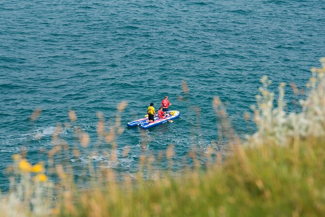Giant Stand Up Paddle Boarding Experience in Newquay - Wildlife and local stories along the shore