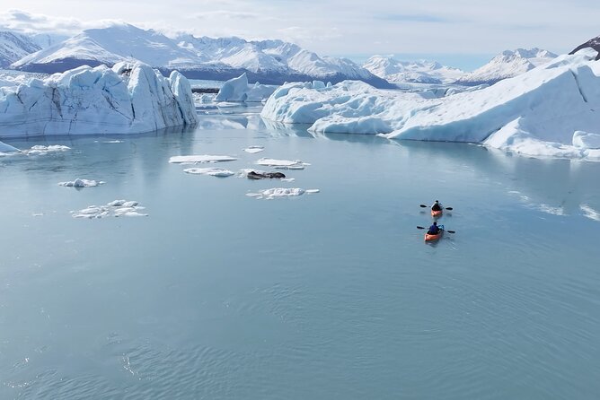 Glacier Blue Kayaking – Knik Glacier Day Tour from Anchorage - Kayaking beside blue glacier ice