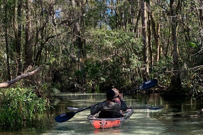 Glass Bottom Kayak Eco Tour through Rainbow Springs - The best parts of the paddle