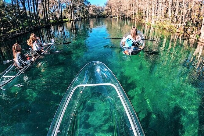 Glass Bottom Kayak Eco Tour through Rainbow Springs - The 90-minute Rainbow River portion