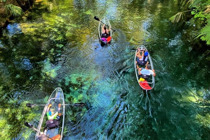 Glass Bottom Kayak Tours of Silver Springs - Key points before you paddle