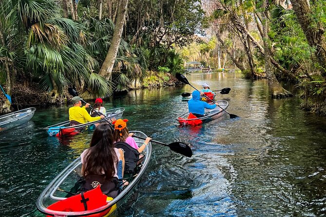 Glass Bottom Kayak Tours of Silver Springs - Why Silver Springs works so well by kayak