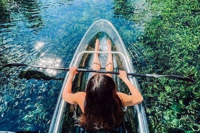 Glass Bottom Kayak Tours of Silver Springs - Timing, crowds, and the best season