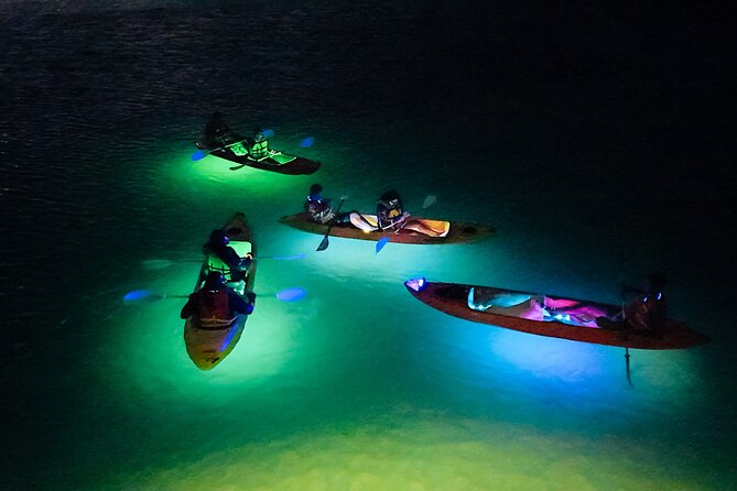 Glow Through the Night with LED Kayak Adventure in Aruba - What makes this Aruba night kayak tour different