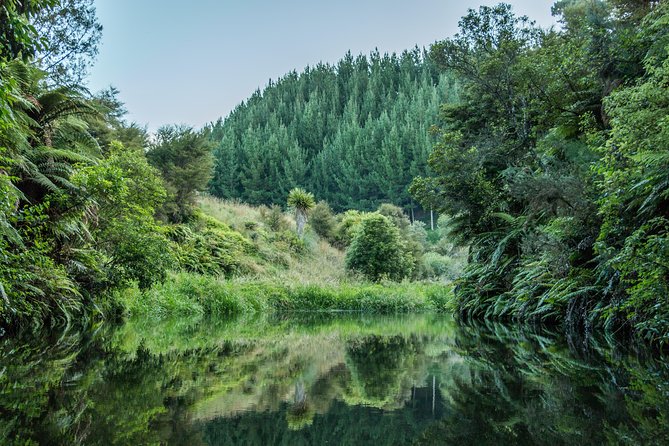 Glow Worm Kayak Tour - The first paddle: dusk on a calm lake
