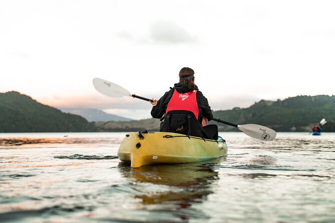 Glow Worm Kayak Tour - Entering the small glow worm caves