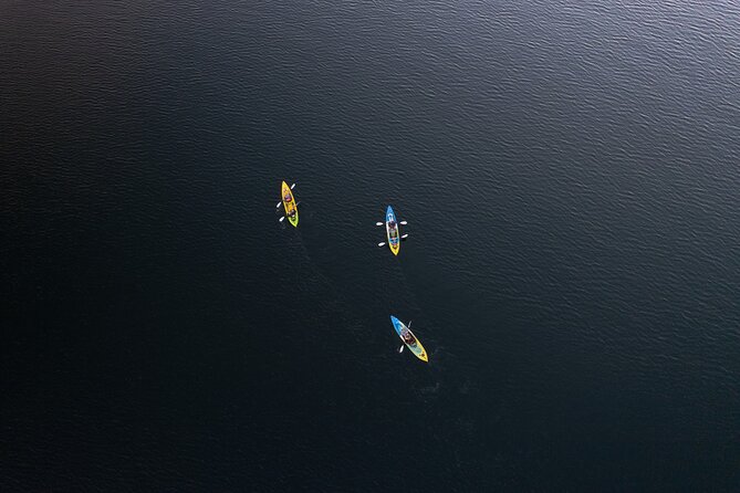 Glow Worm Kayak Tour - Is $121.01 good value?
