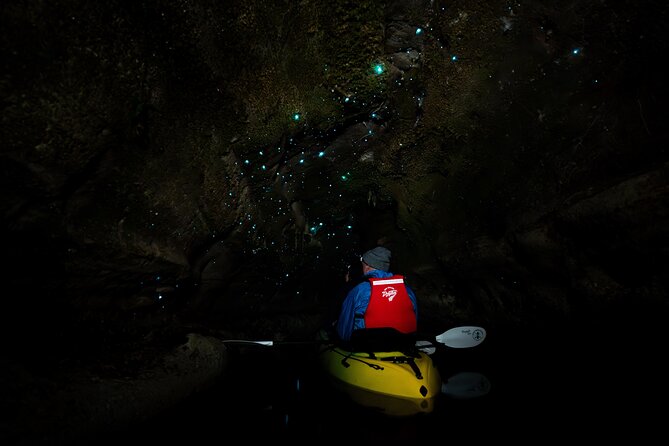 Glow Worm Kayak Tour - From central Rotorua to the lake shore