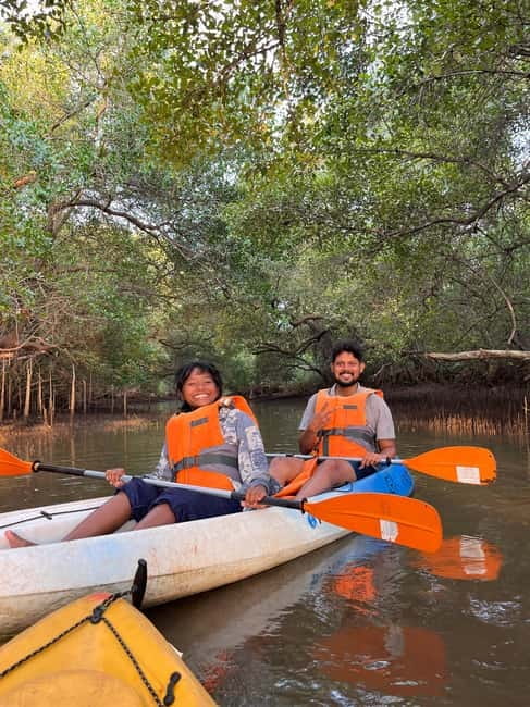 Goa: Backwater Kayaking Tour - Five things to know before paddling