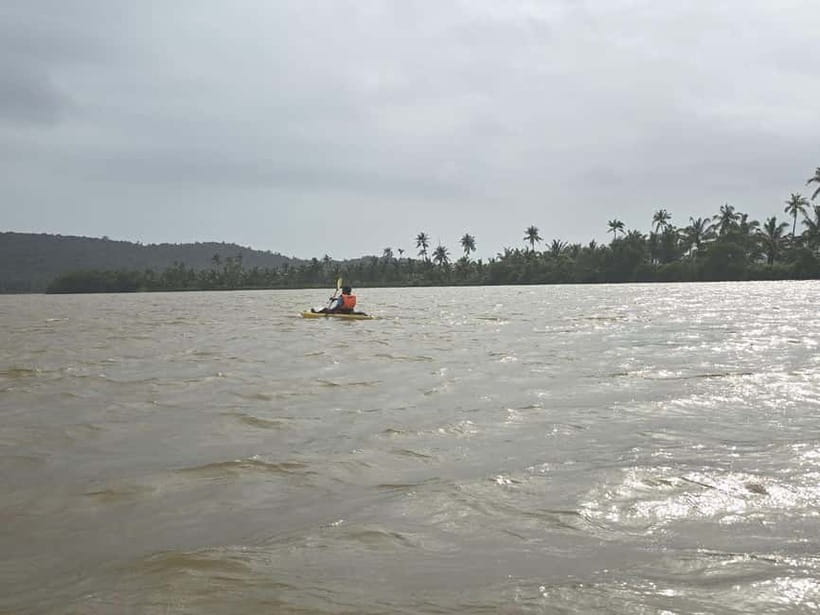 Goa: Backwater Kayaking Tour - Should you book the Chapora kayaking tour?