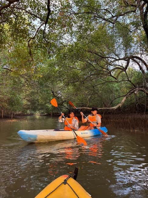 Goa: Backwater Kayaking Tour - Why the Chapora backwaters make a good half-day plan