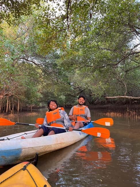 Goa: Backwater Kayaking Tour - One quiet hour among the mangroves
