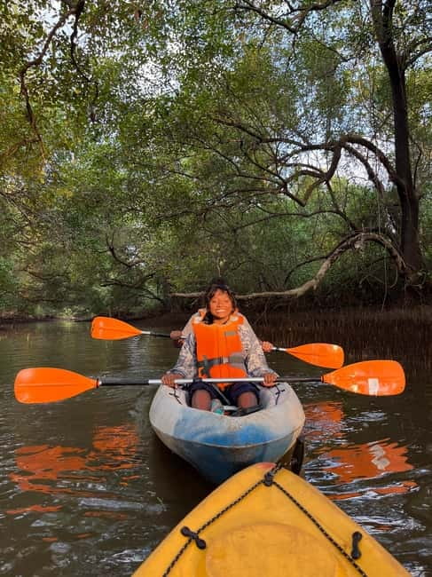 Goa: Backwater Kayaking Tour - Swimming in the Chapora for 30 minutes