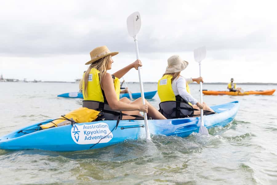 Gold Coast: Kayaking and Snorkeling Guided Tour - What this Gold Coast kayak tour is really like
