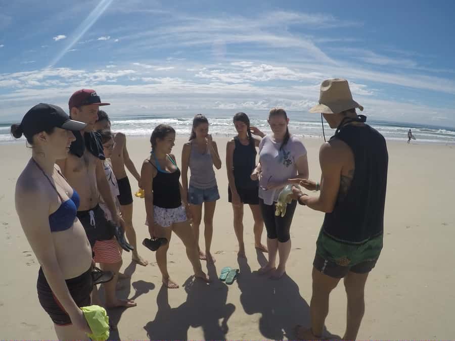 Gold Coast: Kayaking and Snorkeling Guided Tour - How the guides shape the experience