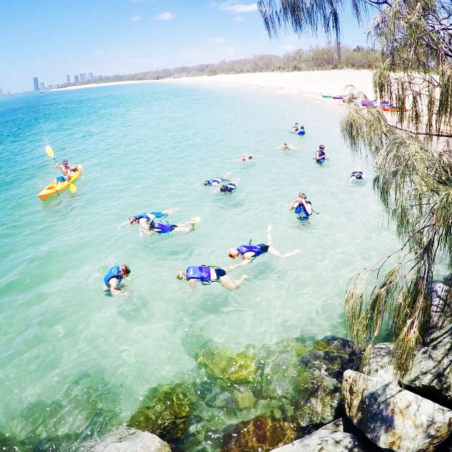 Gold Coast: Kayaking and Snorkeling Guided Tour - Is $53 good value for two hours?
