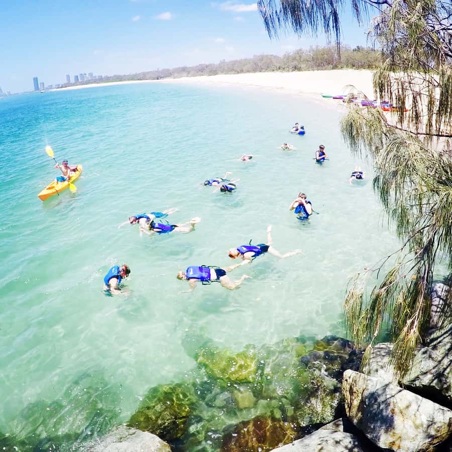Gold Coast: Kayaking and Snorkeling Guided Tour - Meeting in Biggera Waters and getting ready