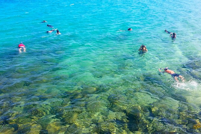 Gold Coast Kayaking & Snorkelling Tour (2.5 Hours) - Key points to know before you book