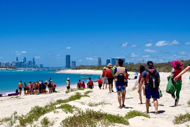 Gold Coast Kayaking & Snorkelling Tour (2.5 Hours) - Wildlife sightings and the Broadwater setting