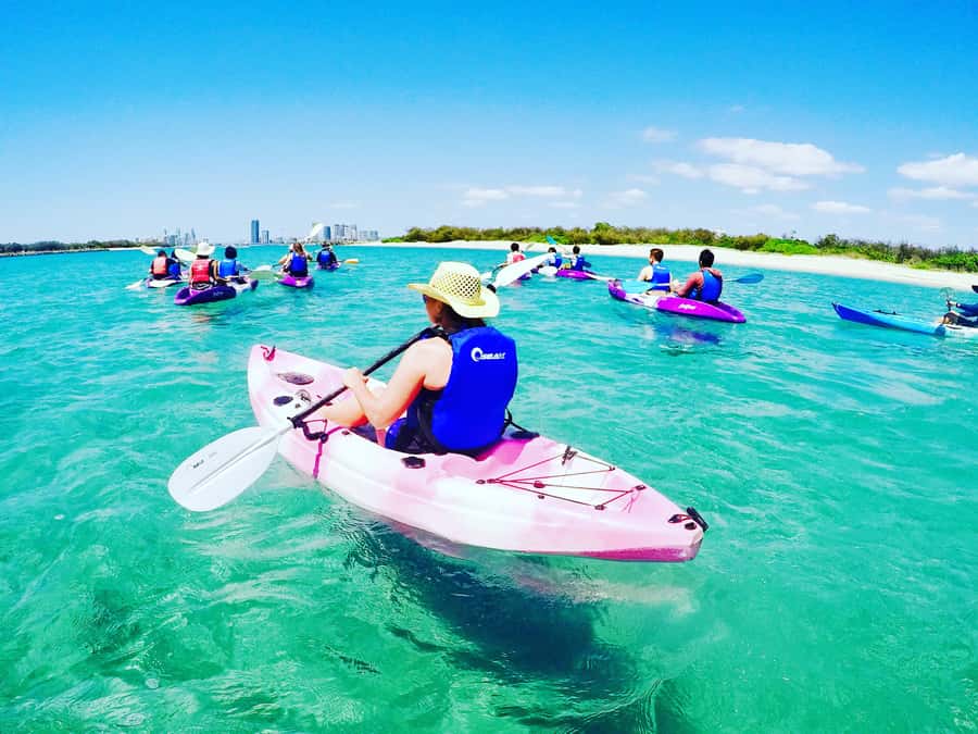 Gold Coast: Kayaking & Snorkelling Tour with Fish Feeding - Watching for dolphins and stingrays