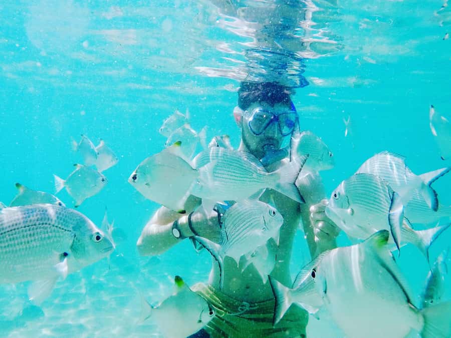 Gold Coast: Kayaking & Snorkelling Tour with Fish Feeding - What to pack, and what to leave behind