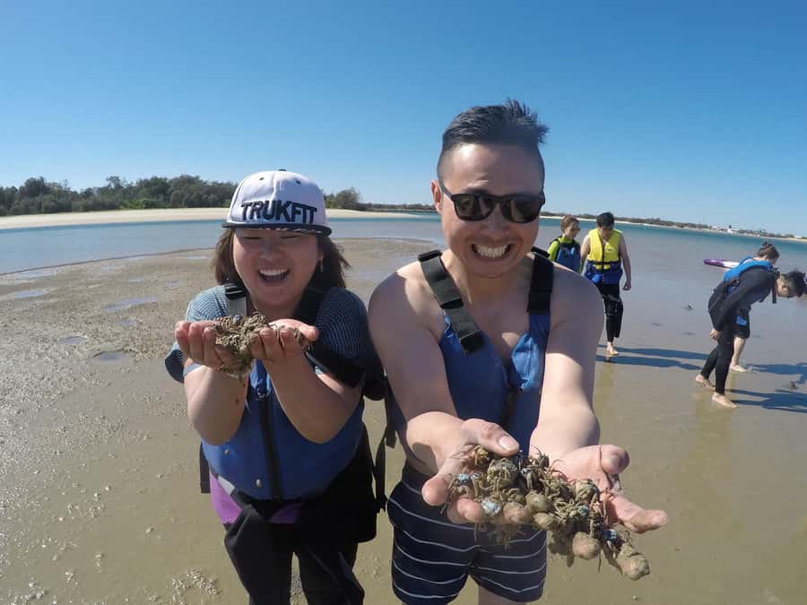 Gold Coast: Kayaking & Snorkelling Tour with Fish Feeding - Weather, comfort, and realistic expectations