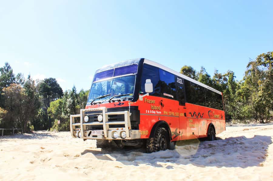Gold Coast: Moreton Island Day Trip Kayak & Sandboarding - Paddling over the Tangalooma Wrecks