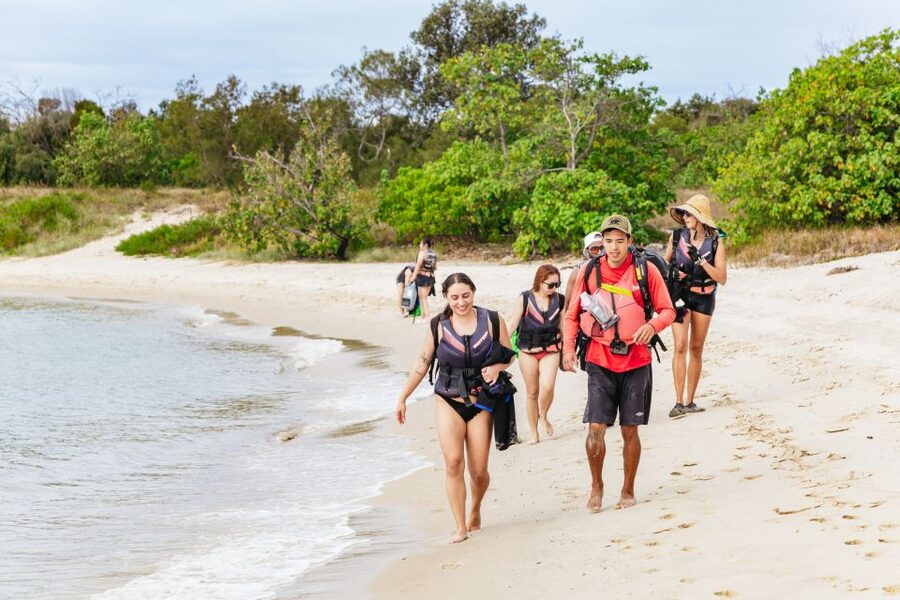 Gold Coast: Wave Break Island Kayaking & Snorkeling tour - Guides who make beginners feel safe