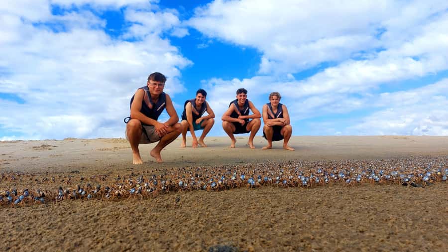 Gold Coast: Wave Break Island Kayaking & Snorkeling tour - What $63 buys you