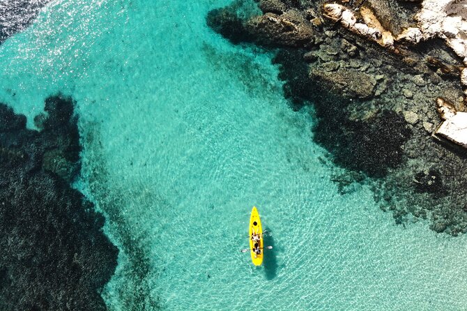 Golfo Aranci: Kayak tour with aperitif&dolphin sighting (max 9 Pax) - Key points to know before you paddle