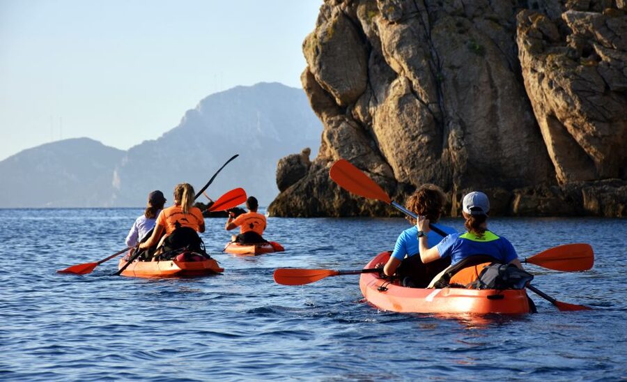 Golfo Aranci: Kayak Tour with Dolphins and Aperitif - Key points at a glance