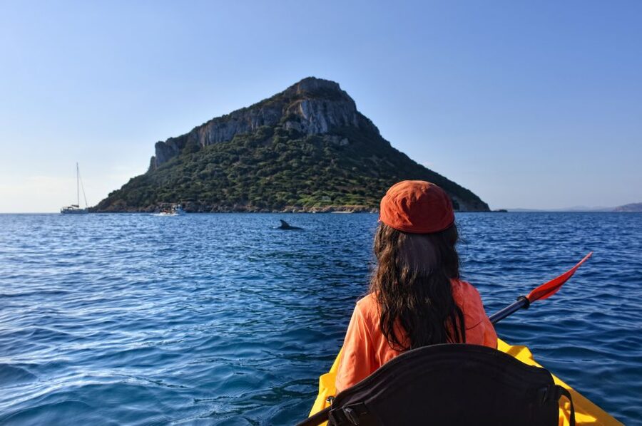 Golfo Aranci: Kayak Tour with Dolphins and Aperitif - Starting at Spiaggia dei Baracconi