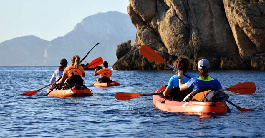 Golfo Aranci: Kayak Tour with Dolphins and Aperitif - Searching for dolphins near the fish farm