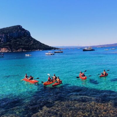 Kayak Tour with Dolphins and Aperitif