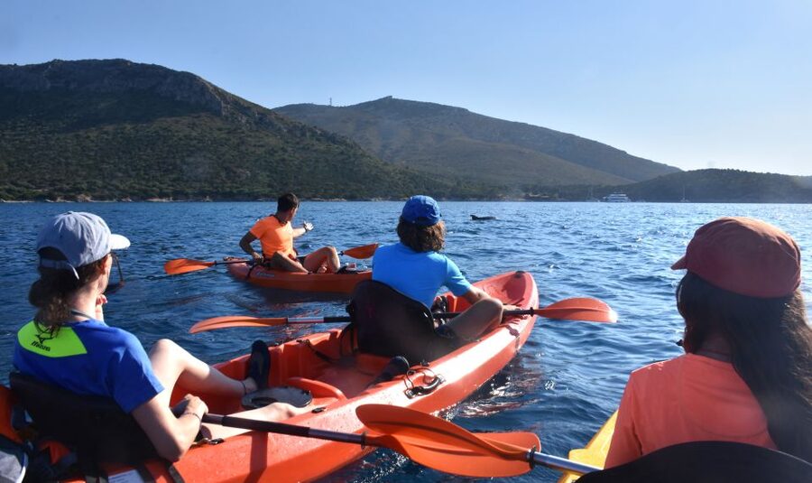 Golfo Aranci: Kayak Tour with Dolphins and Aperitif - A Sardinian aperitif on the beach