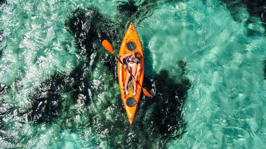 Golfo Aranci: Kayak Tour with Dolphins and Aperitif - Who should book this Golfo Aranci outing?