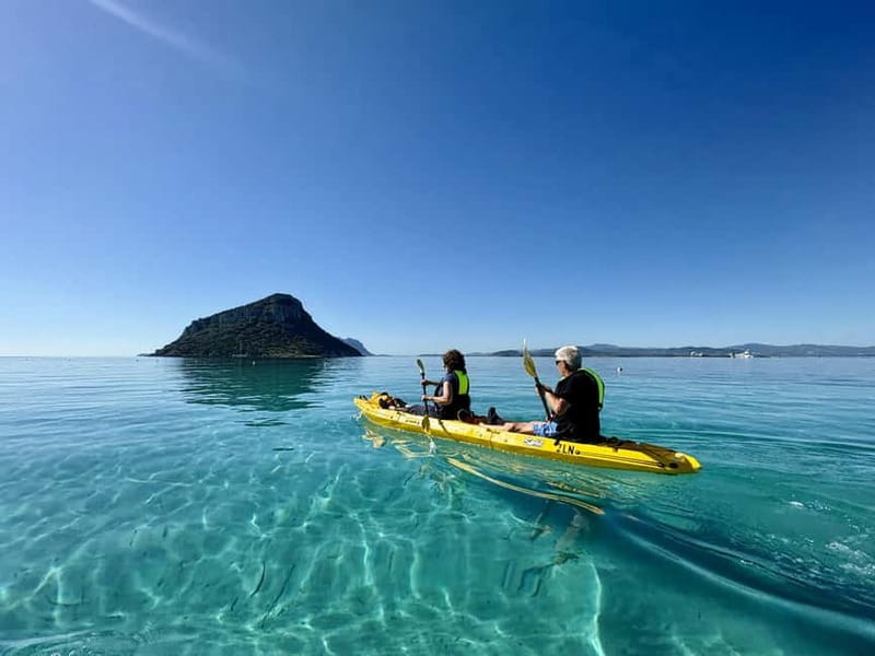 Golfo Aranci:Small group, german guided Kayak tour&Dolphins - Why this Golfo Aranci outing feels different